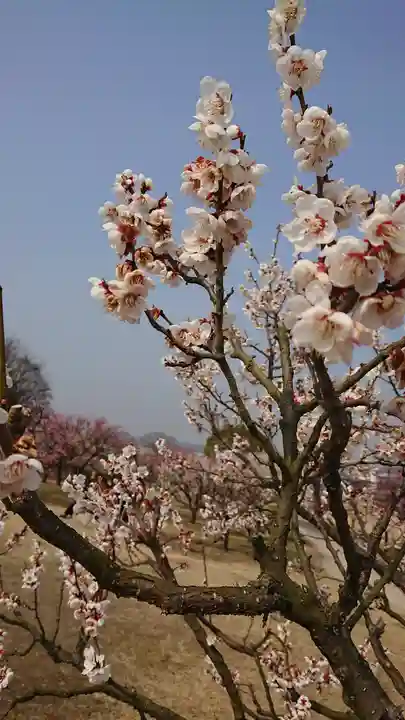 神前神社(岡山県)