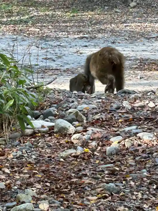 穂高神社奥宮(長野県)