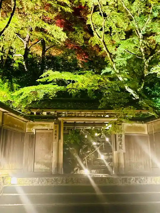 光明寺瑠璃光院(京都府)