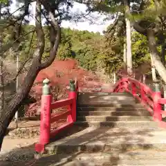 大洞院の建物その他