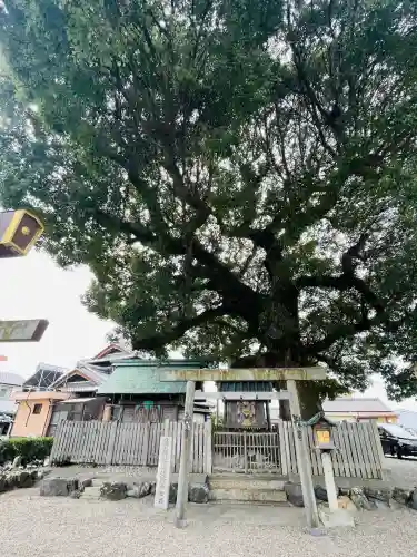 豊玉神社遥拝所(中社跡)(三重県)