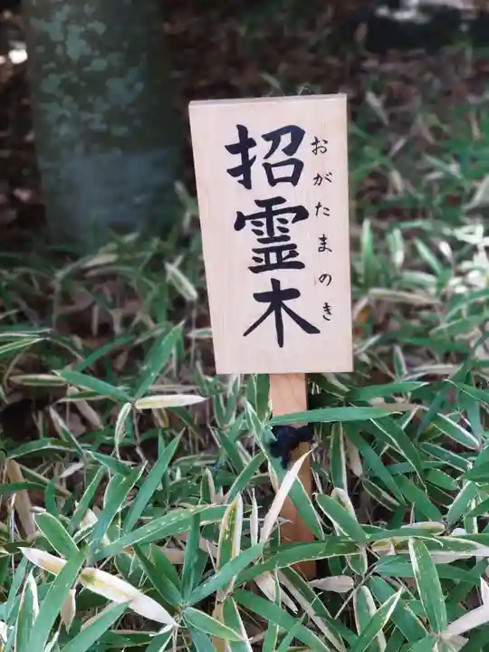 寒川神社(神奈川県)