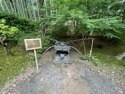 高台寺(高台寿聖禅寺・高臺寺)(京都府)