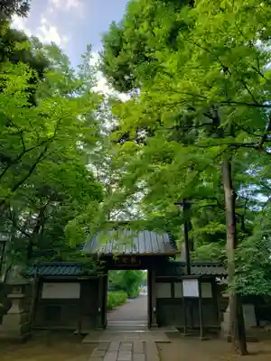 妙法寺(東京都)