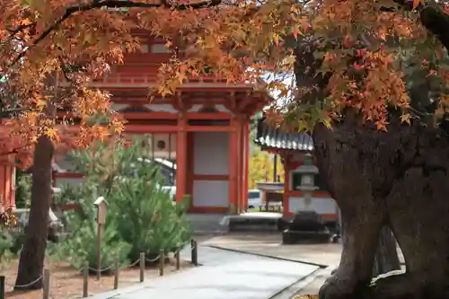 今宮神社のその他建物