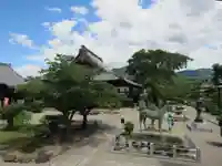 橘寺の庭園