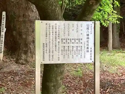 山城神社の歴史