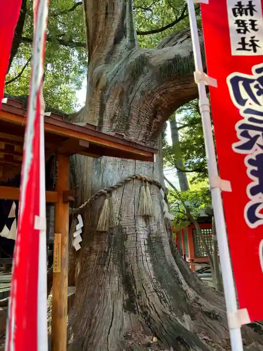 住吉大社(大阪府)