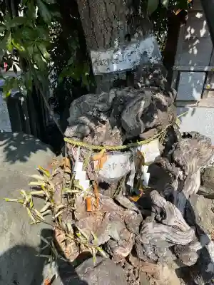 稗田野神社(薭田野神社)(京都府)