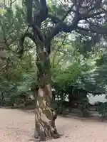 野々宮神社(大阪府)