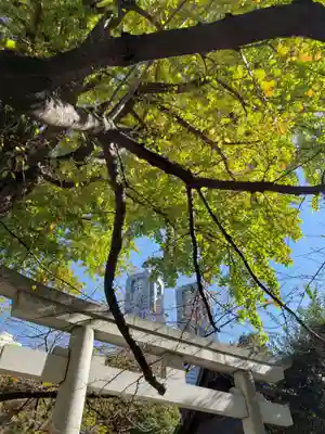 熊野神社(東京都)