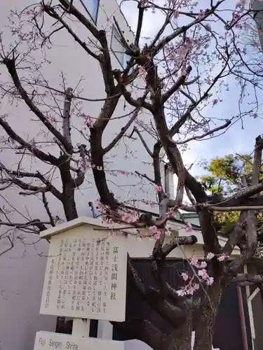 富士浅間神社の歴史