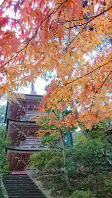 岩殿山安楽寺(吉見観音)の塔