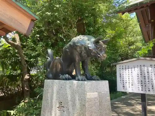 稲毛神社の狛犬