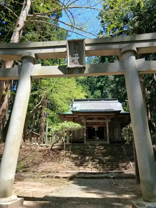 鳥越八幡神社の{uncategorized: "未分類", other: "その他", undefined: "問題あり", building: "その他建物", grave: "お墓", sacred_gate: "鳥居", guardian: "狛犬", statue: "像", buddha: "仏像", history: "歴史", nature: "自然", garden: "庭園", animal: "動物", pagoda: "塔", temizu: "手水舎", mountain_gate: "山門・神門", sanctuary: "本殿・本堂", subordinate: "末社・摂社", art: "芸術", scenery: "景色", jizo: "地蔵", ema: "絵馬", goshuin: "御朱印", omikuji: "おみくじ", items: "授与品その他", amulet: "お守り", goshuincho: "御朱印帳", eats: "食事", festival: "お祭り", votive_dance: "神楽", shichigosan: "七五三参", wedding: "結婚式", experience: "体験その他", initially: "初詣", around: "周辺", anti_infection: "感染症対策"}