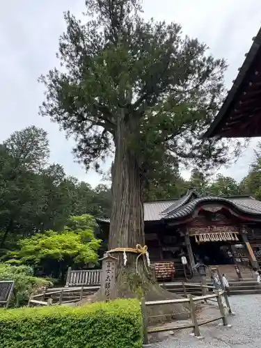 北口本宮冨士浅間神社(山梨県)