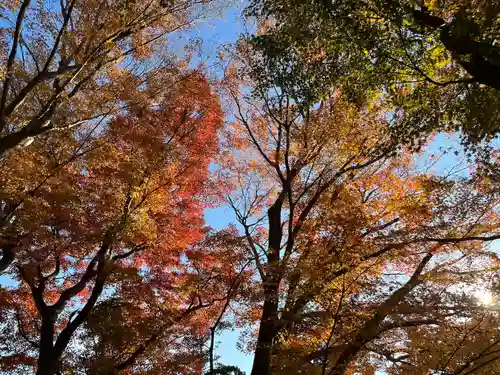楽法寺（雨引観音）の自然