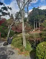 大原野神社の景色