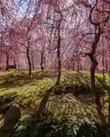 城南宮(京都府)