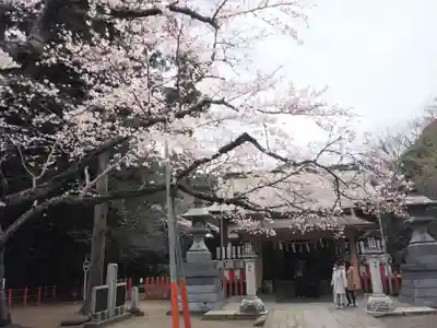 息栖神社の本殿・本堂