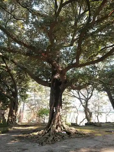八雲神社の自然