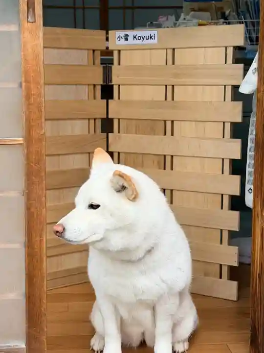 宗忠神社(京都府)