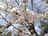 福井県護国神社(福井県)