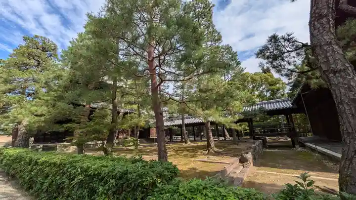 大徳寺(京都府)
