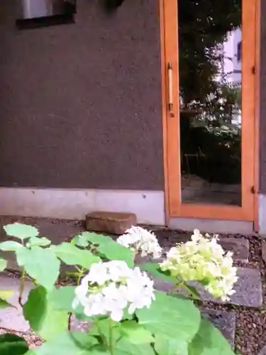 五十稲荷神社(栄寿稲荷神社)(東京都)