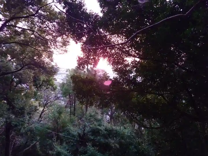 神倉神社(熊野速玉大社摂社)(和歌山県)