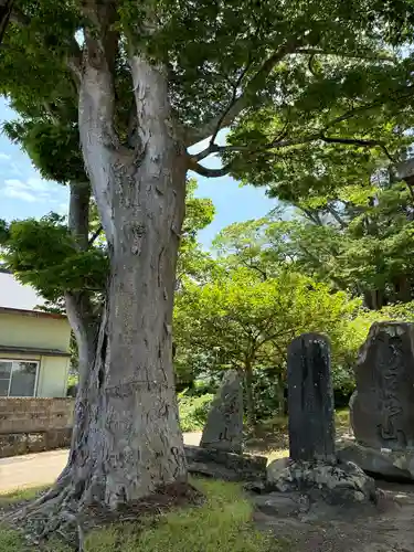 荒脛巾神社(福島県)