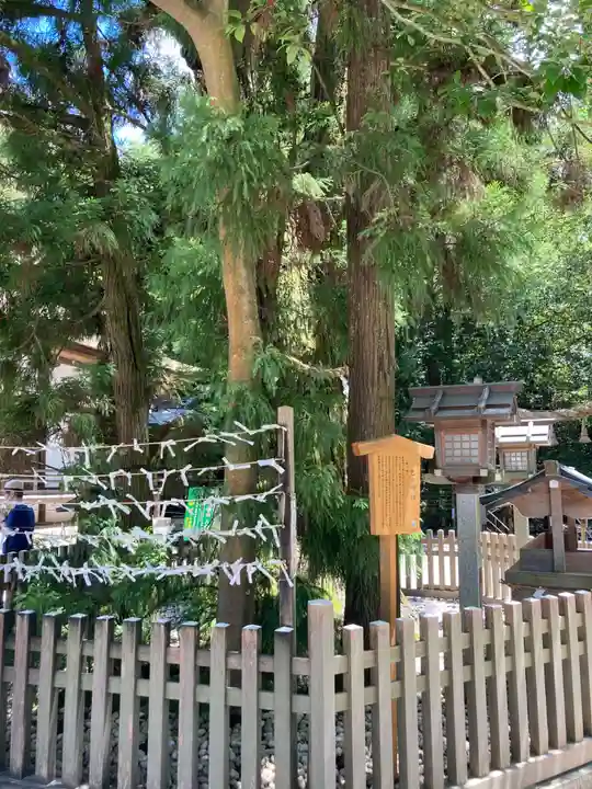 大神神社(奈良県)