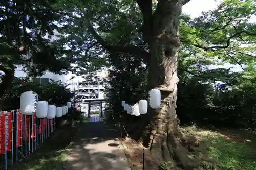 愛宕神社の景色