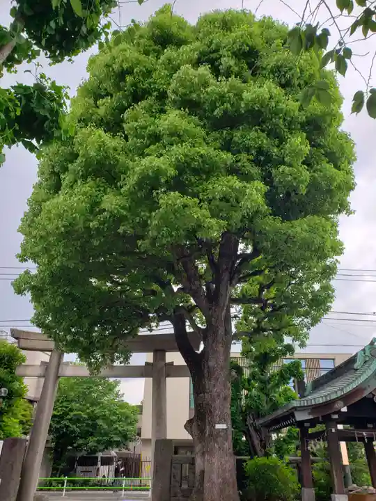 麻布氷川神社(東京都)