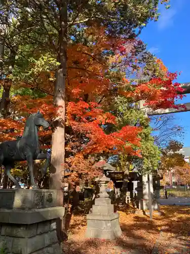 岩見澤神社(北海道)