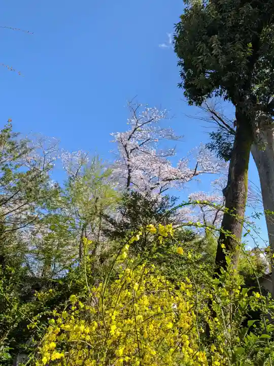 鷺宮八幡神社(東京都)