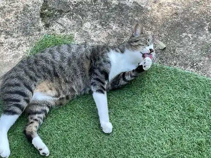 王子神社(徳島県)