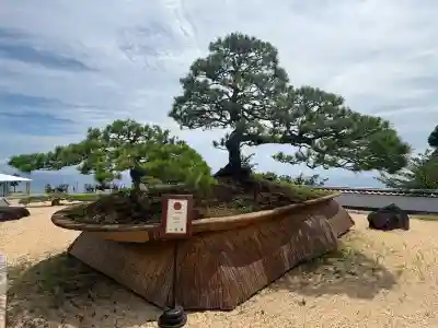 曽我浅間神社(静岡県)