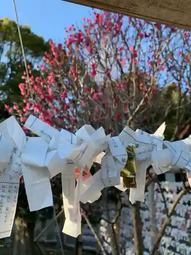 神峰神社のおみくじ