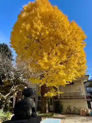 千住本氷川神社(東京都)