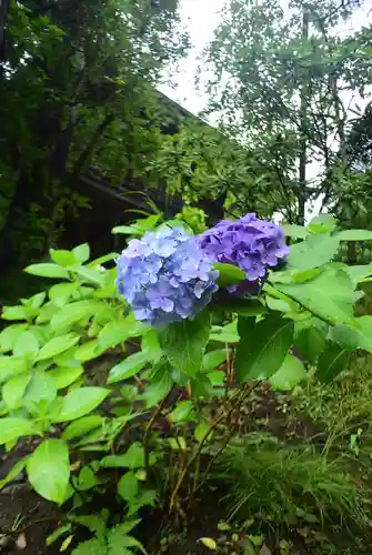 円覚寺(神奈川県)