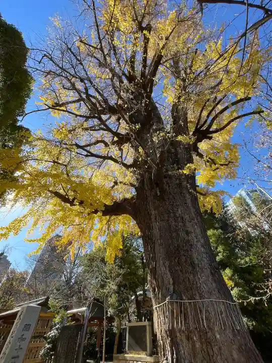 芝東照宮(東京都)