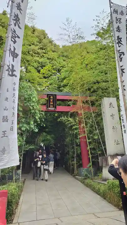 來宮神社(静岡県)