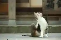 玉野御嶽神社(愛知県)