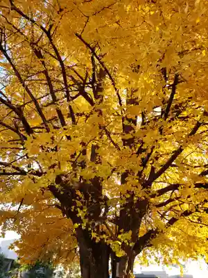仙寿院(東京都)