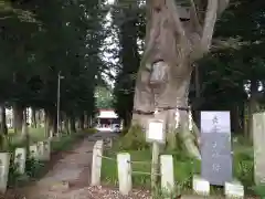 智賀都神社の自然