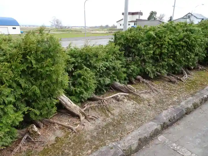 雨竜 専福寺の自然