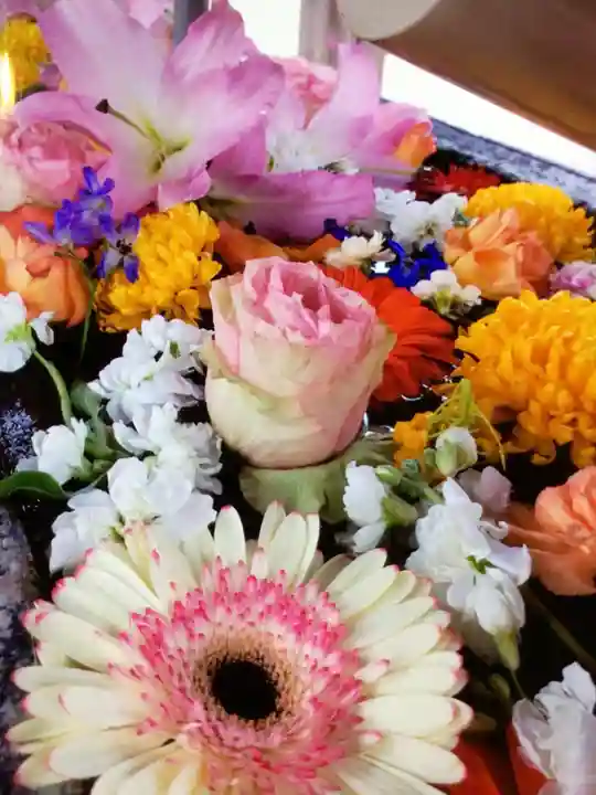 鳩森八幡神社(東京都)