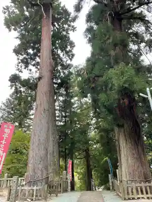 金毘羅寺の自然