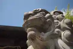 宇都宮二荒山神社の狛犬